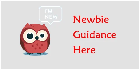Newbie Guide